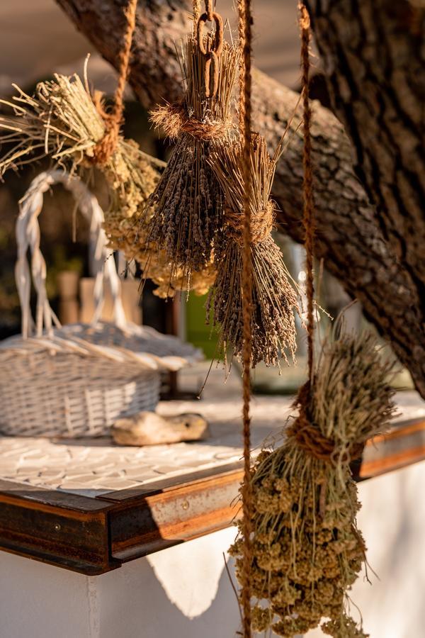 Plage Cachee - Glamping Врбоска Екстериор снимка